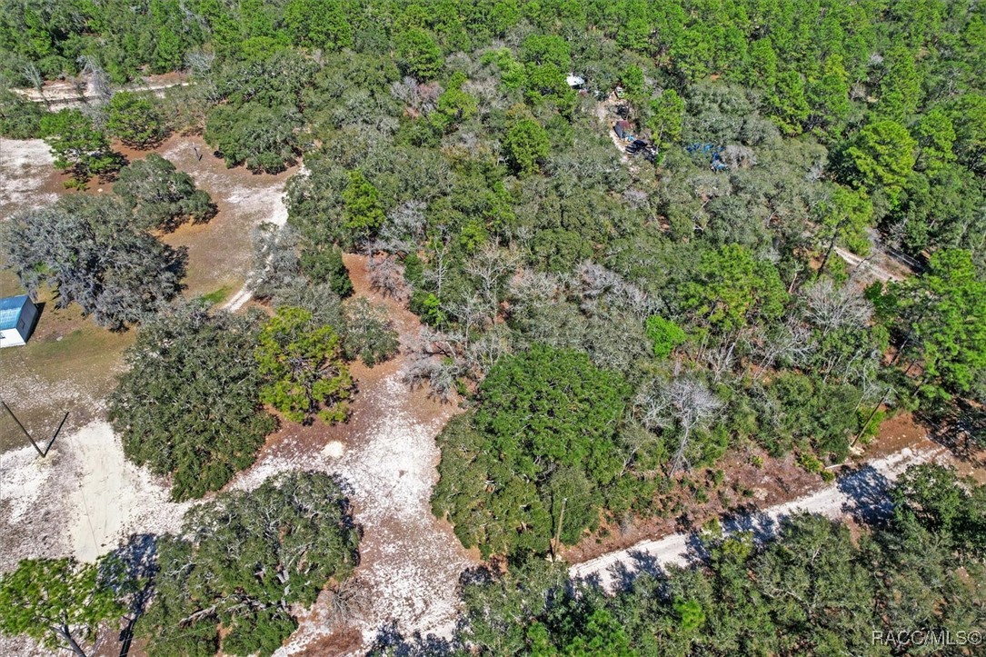 3539 W Barrett Court, Dunnellon, Florida image 21