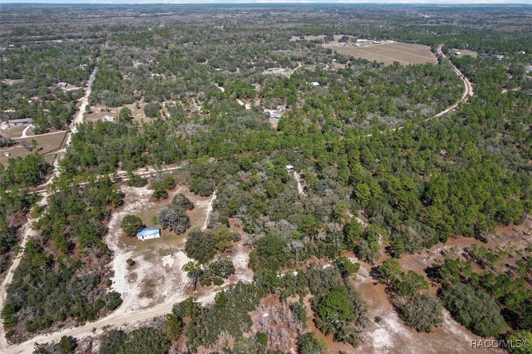 3539 W Barrett Court, Dunnellon, Florida image 4