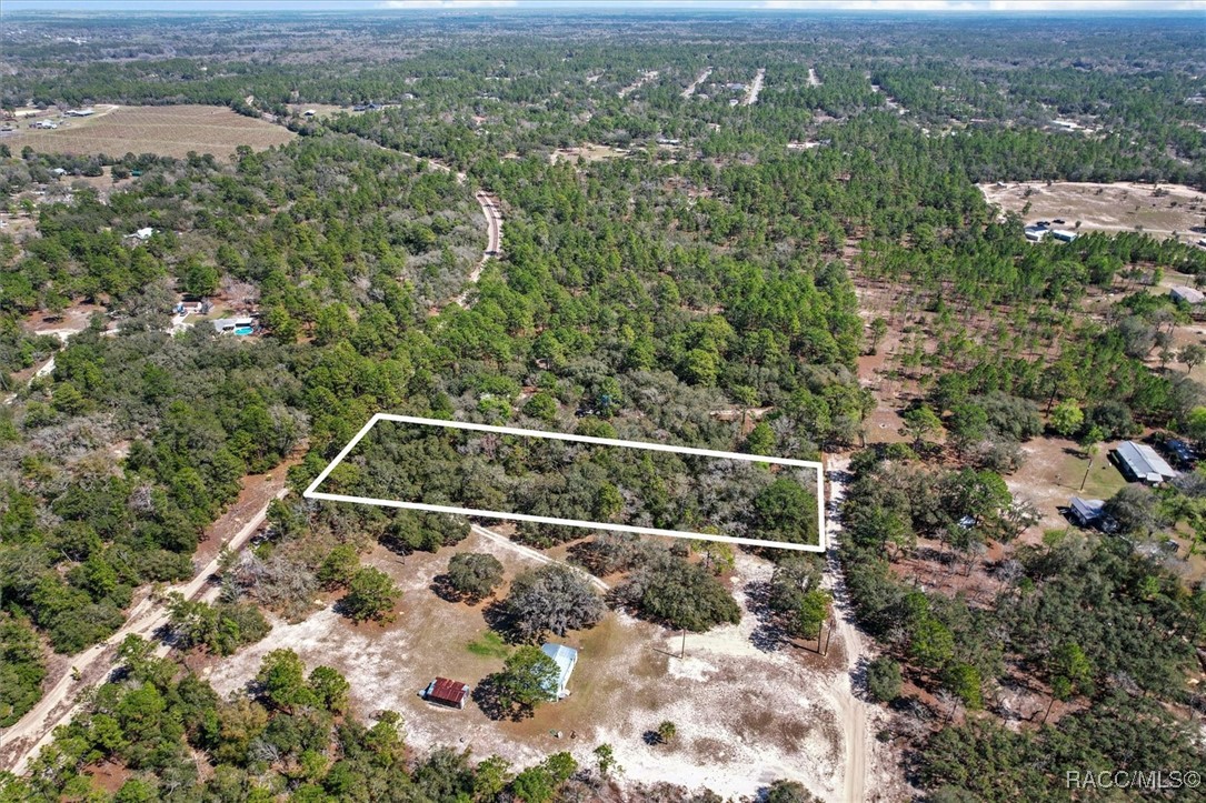 3539 W Barrett Court, Dunnellon, Florida image 3