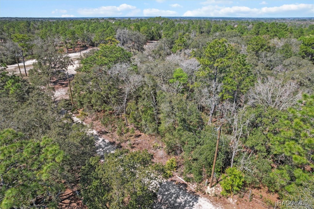 3539 W Barrett Court, Dunnellon, Florida image 11