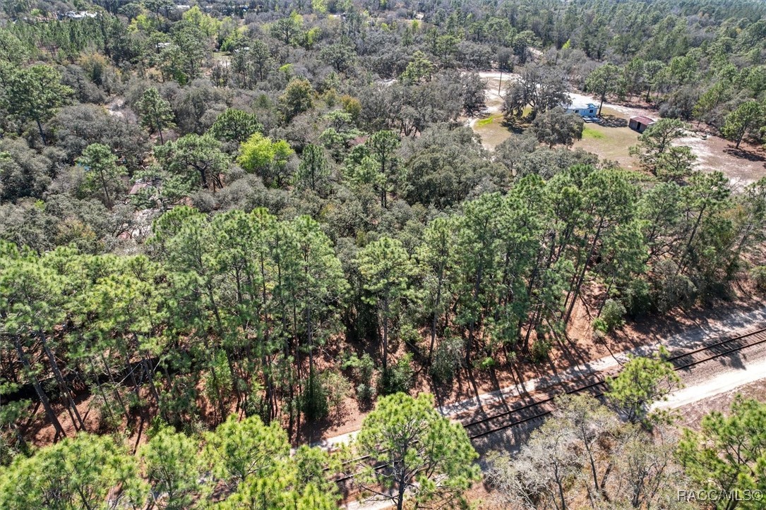 3539 W Barrett Court, Dunnellon, Florida image 16
