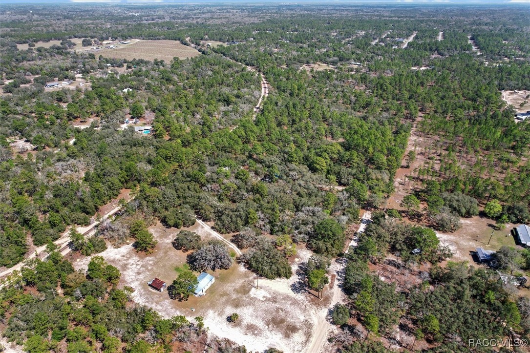 3539 W Barrett Court, Dunnellon, Florida image 25