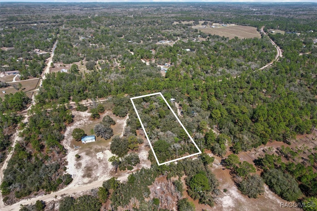 3539 W Barrett Court, Dunnellon, Florida image 2
