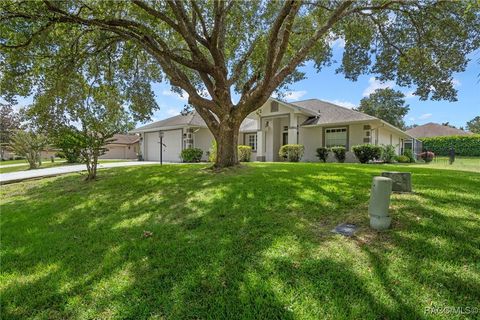 2609 N Brentwood Circle Lecanto FL 34461