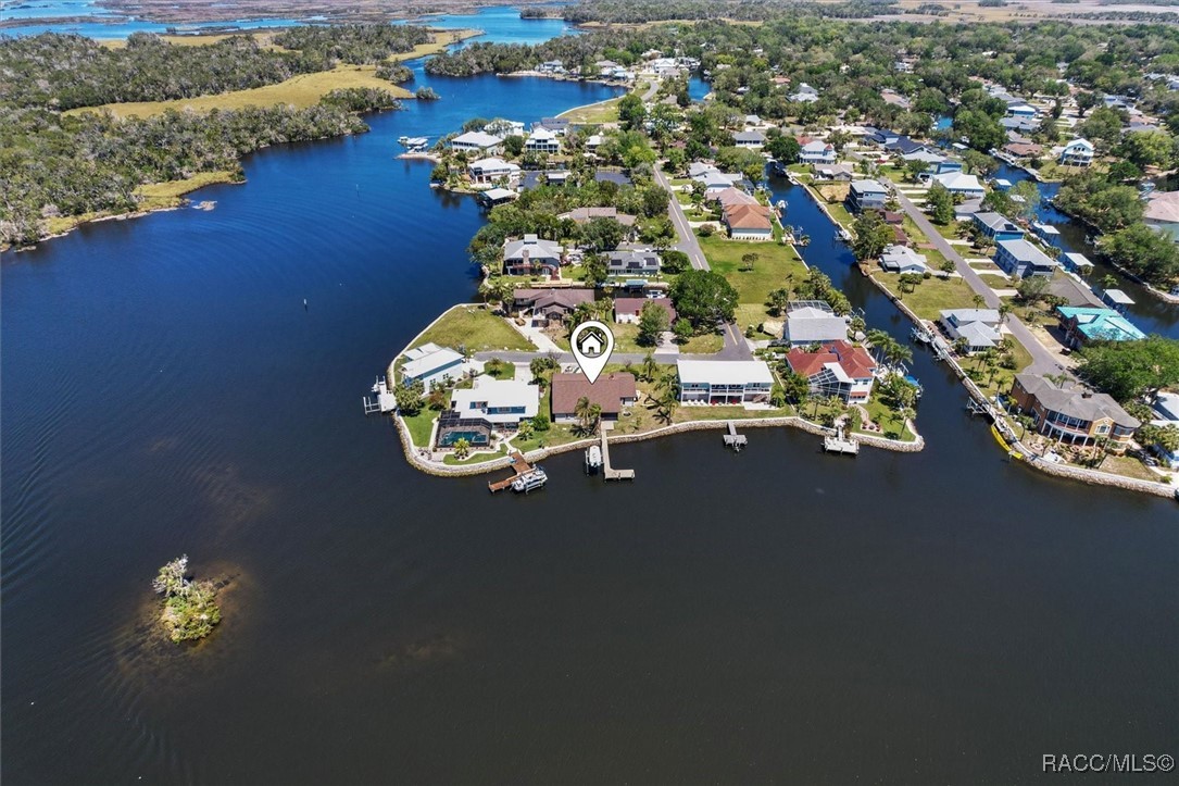 12030 W Tarpon Court, Homosassa, Florida image 2