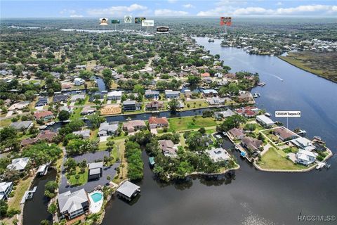 12030 W Tarpon Court Homosassa FL 34448