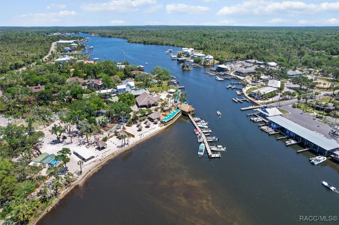12030 W Tarpon Court, Homosassa, Florida image 31