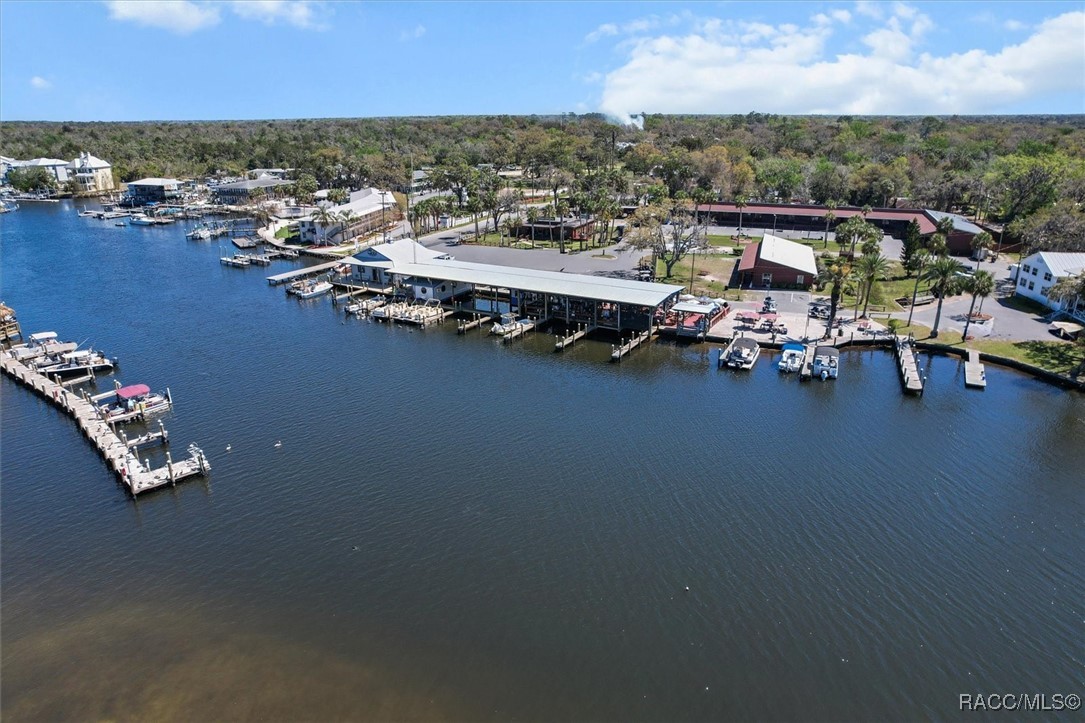 12030 W Tarpon Court, Homosassa, Florida image 27