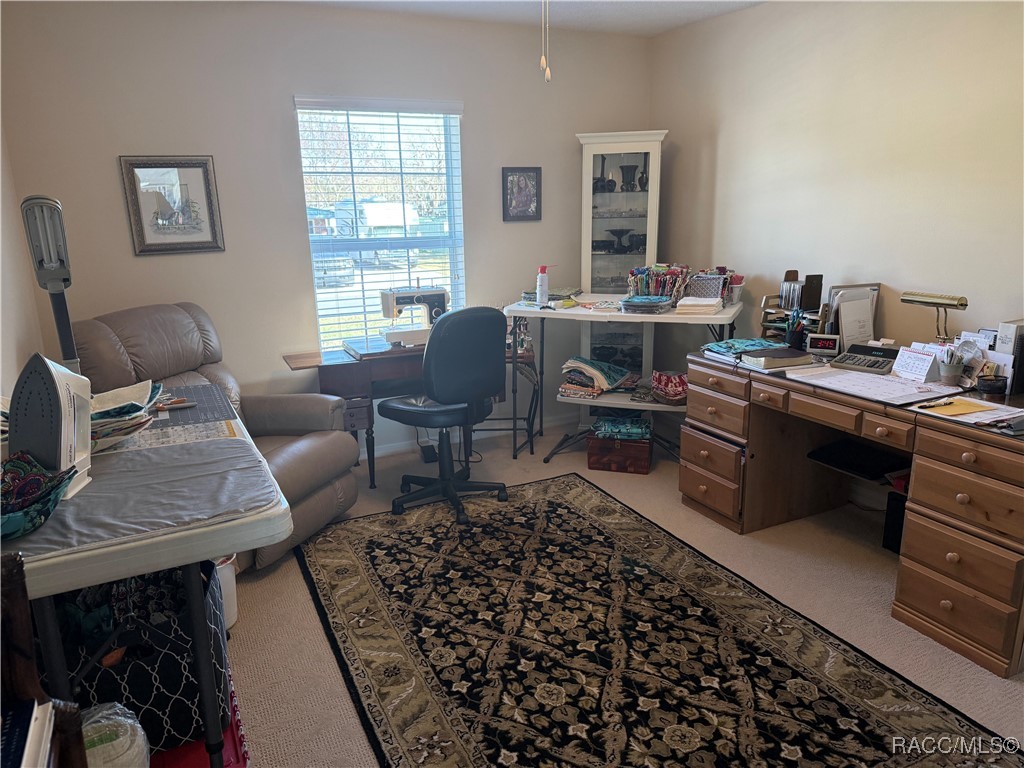 3926 N Eagle Point, Crystal River, Florida image 25