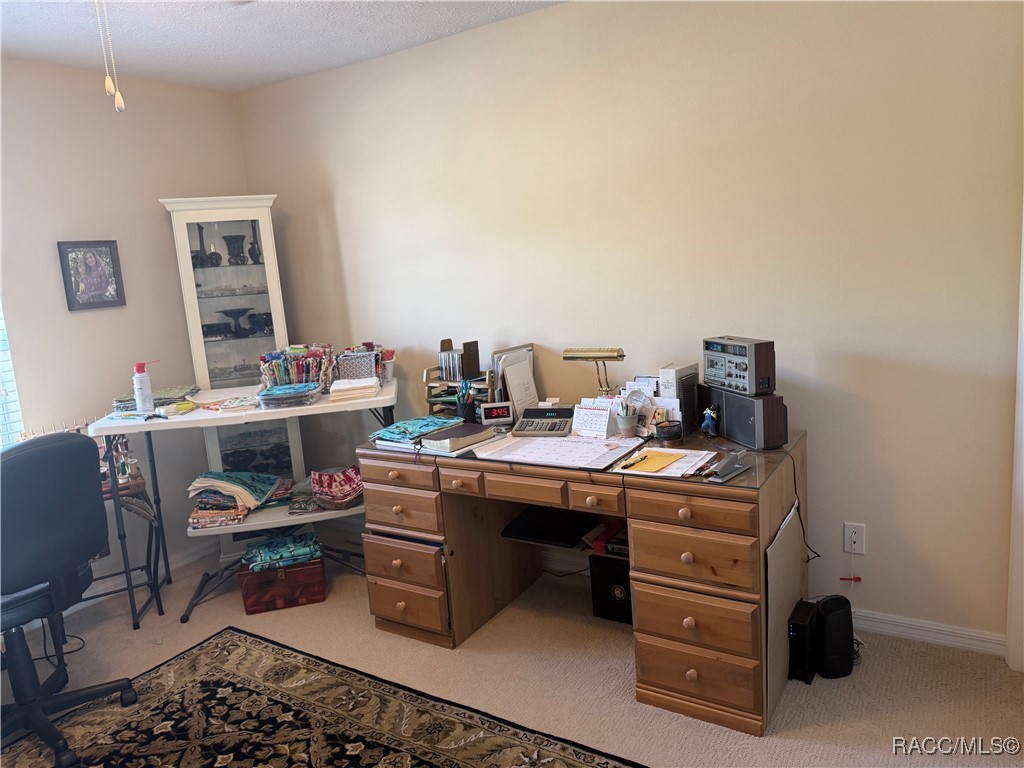 3926 N Eagle Point, Crystal River, Florida image 27