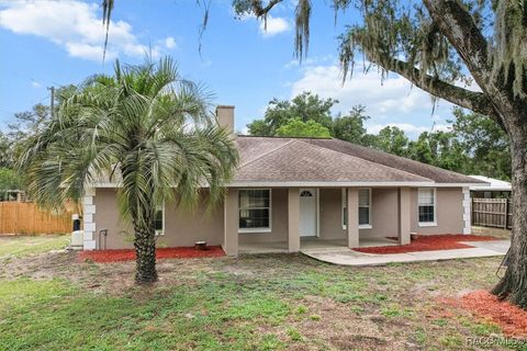 11060 S Istachatta Road Floral City FL 34436