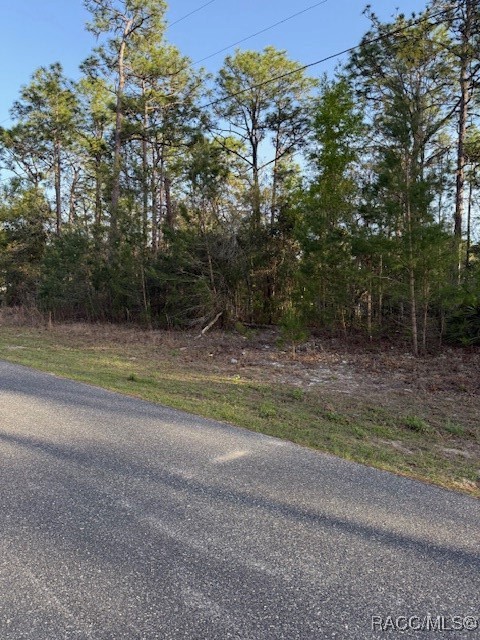 1458 W Landmark Drive, Citrus Springs, Florida image 10