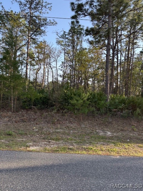 1458 W Landmark Drive, Citrus Springs, Florida image 9