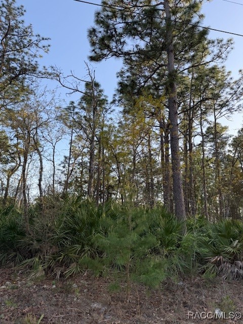 1458 W Landmark Drive, Citrus Springs, Florida image 6