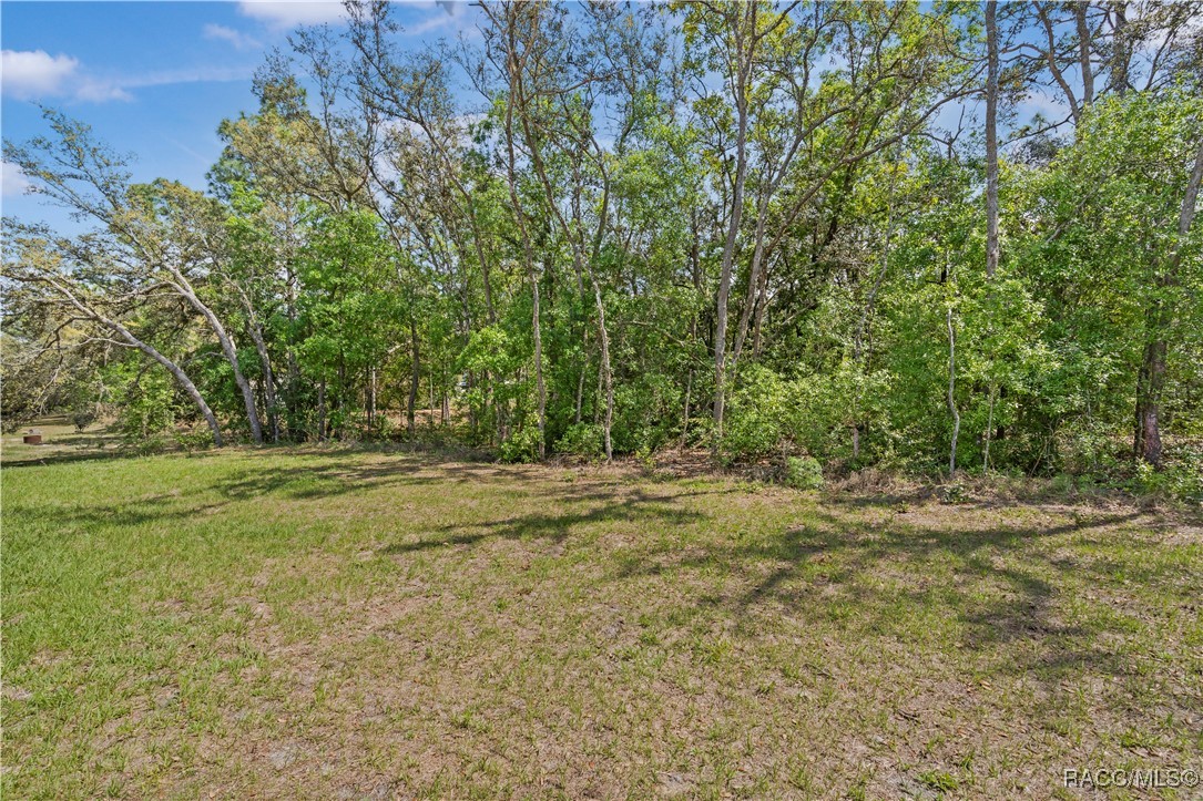 552 W Hummingbird Drive, Citrus Springs, Florida image 11
