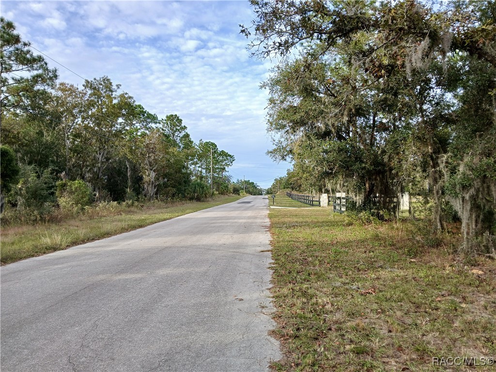 11755 N Belluzzi Terrace, Dunnellon, Florida image 4