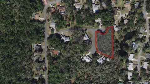 Vacant Land For Sale - 4073 N Lida Point<br/> Crystal River, FL 34428