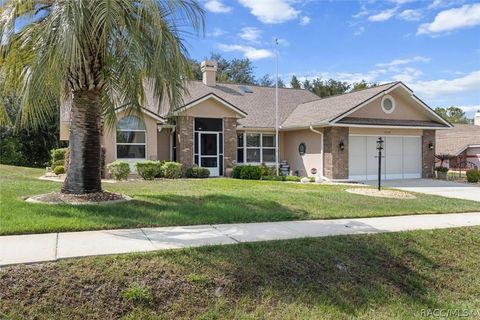 Homes For Sale - 6120 N Misty Oak Terrace<br/> Beverly Hills, FL 34465