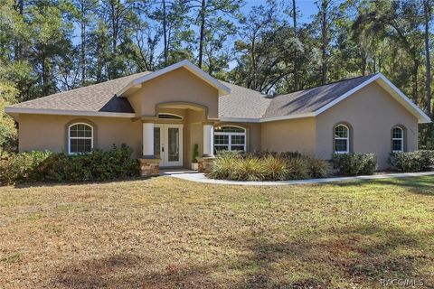 4225 N Indianriver Drive Hernando FL 34442