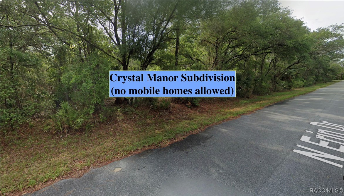 8545 N Erin Drive, Crystal River, Florida image 2