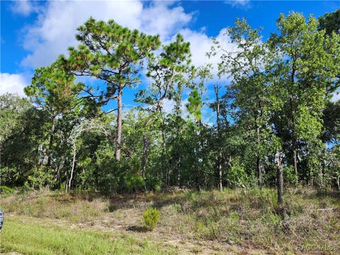 Vacant Land For Sale - 6741 N Darlington Drive<br/> Citrus County, Dunnellon, FL 34434