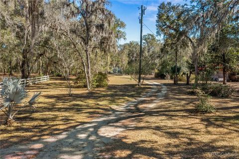 9193 S Great Oaks Drive Floral City FL 34436