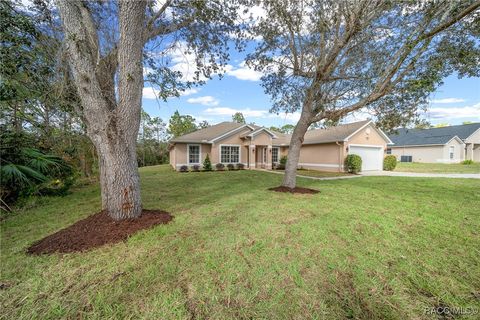 A home in Homosassa