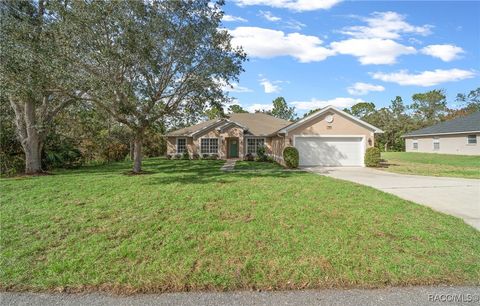 A home in Homosassa