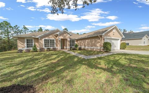 A home in Homosassa