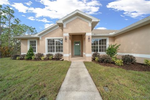 A home in Homosassa