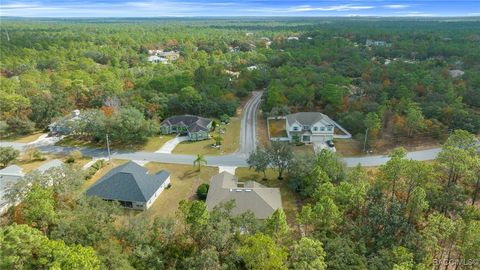 A home in Homosassa