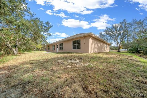 A home in Homosassa