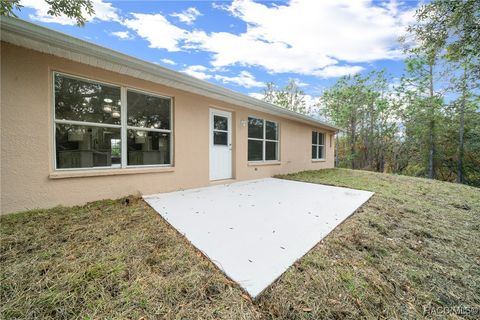 A home in Homosassa