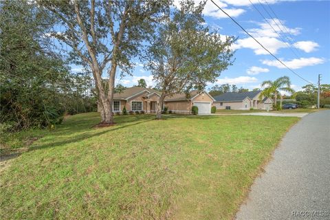 A home in Homosassa