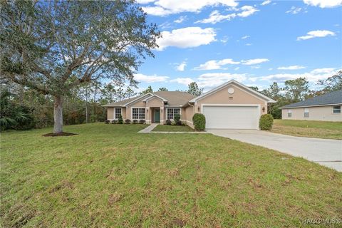 A home in Homosassa