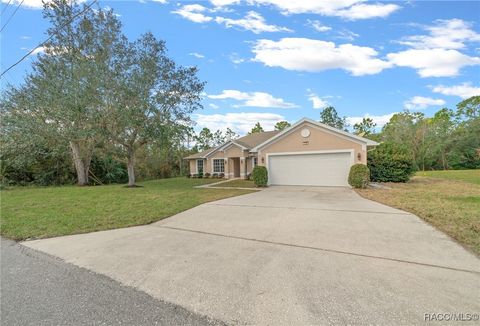 A home in Homosassa