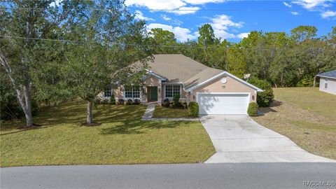 A home in Homosassa