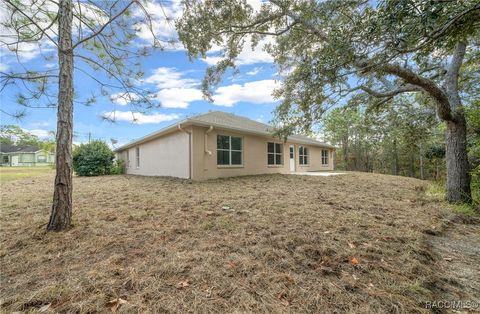 A home in Homosassa