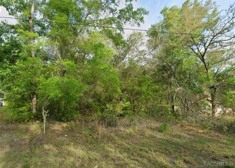 Vacant Land For Sale - 8280 N Galena Avenue<br/> Dunnellon, FL 34434