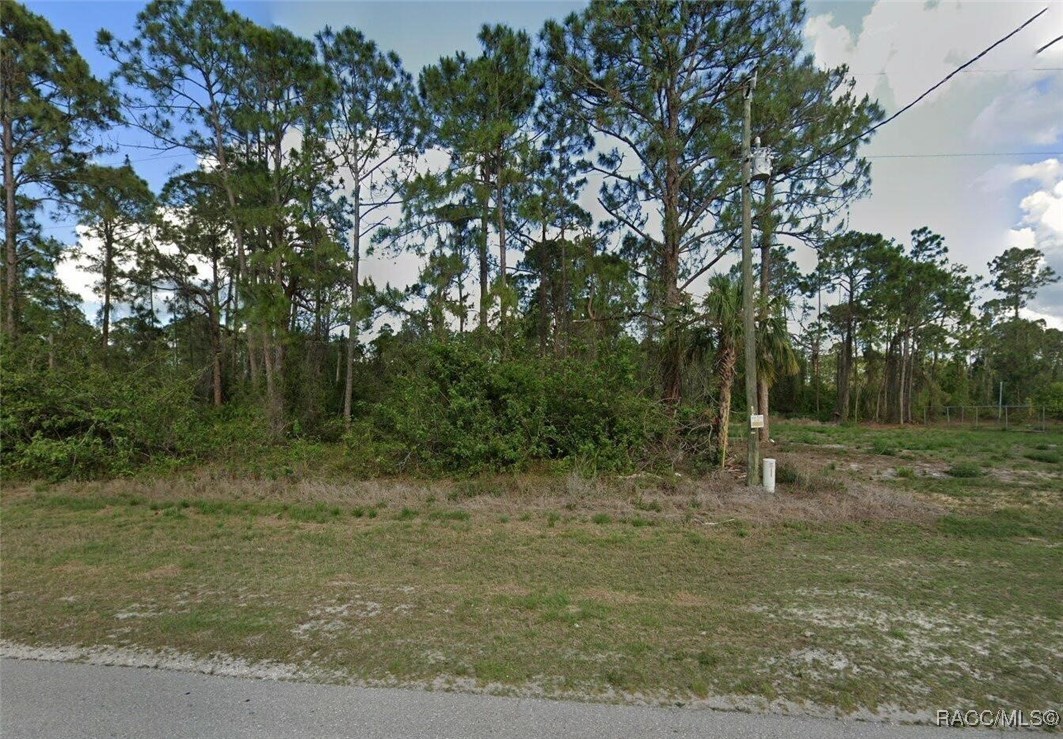 573 Eisenhower Boulevard, Lehigh Acres, Florida image 1