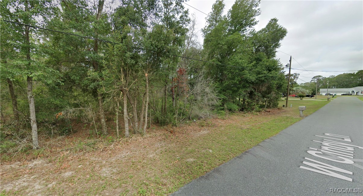2260 W Cindy Lane #2-C, Dunnellon, New York image 2
