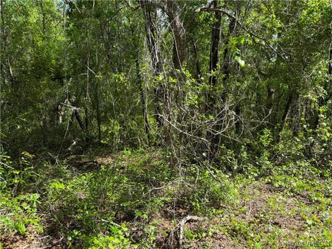 Vacant Land For Sale - 112 S Crestview Avenue<br/> Inverness, FL 34452