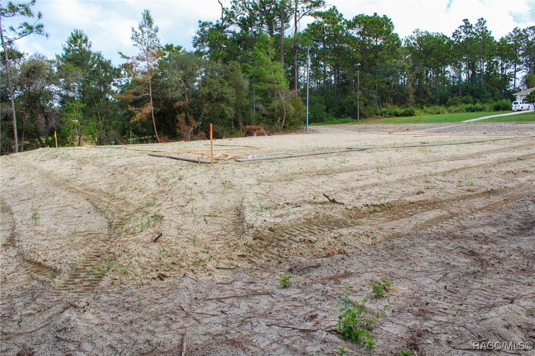 6054 N Rosewood Drive