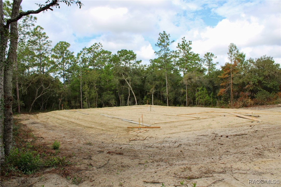 6054 N Rosewood Drive