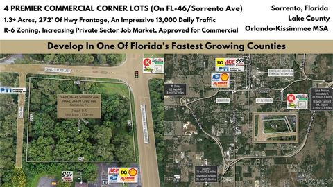 Vacant Land For Sale - 24439 Sorrento Avenue<br/> Mount Dora, FL 32776