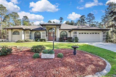 A home in Homosassa