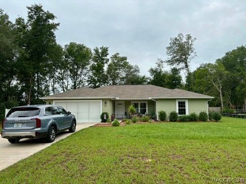 Homes For Sale - 8750 N Gilovu Drive<br/> Dunnellon, FL 34433