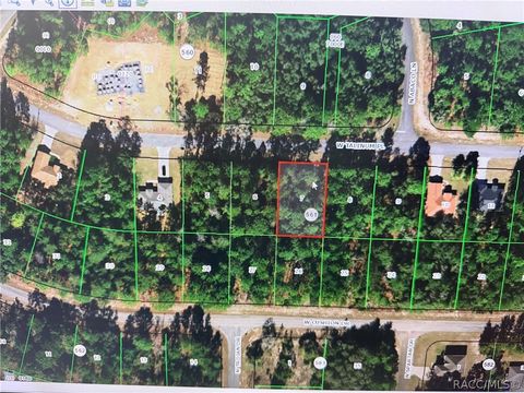 Vacant Land For Sale - 3328 W Talinum Place<br/> Citrus Springs, FL 34433