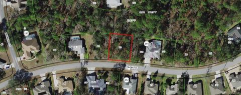 Vacant Land For Sale - 147 Daisy Street<br/> Homosassa, FL 34446
