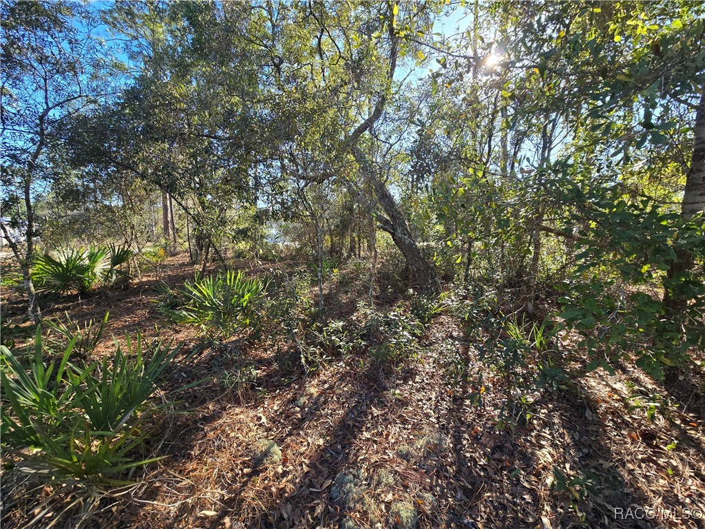 6434 N Baylor Terrace, Dunnellon, Florida image 7